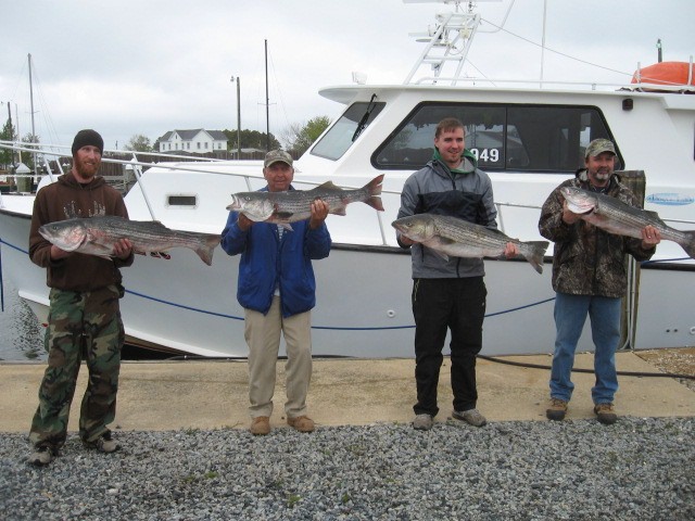 Maryland Charter Fishing For Rockfish On The Chesapeake Bay!