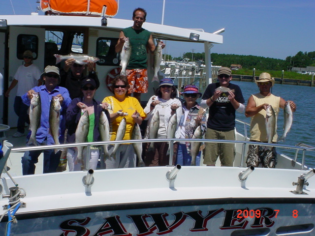 A full limit of Maryland rockfish caught with live bait!