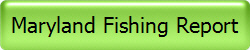 Maryland Fishing Report